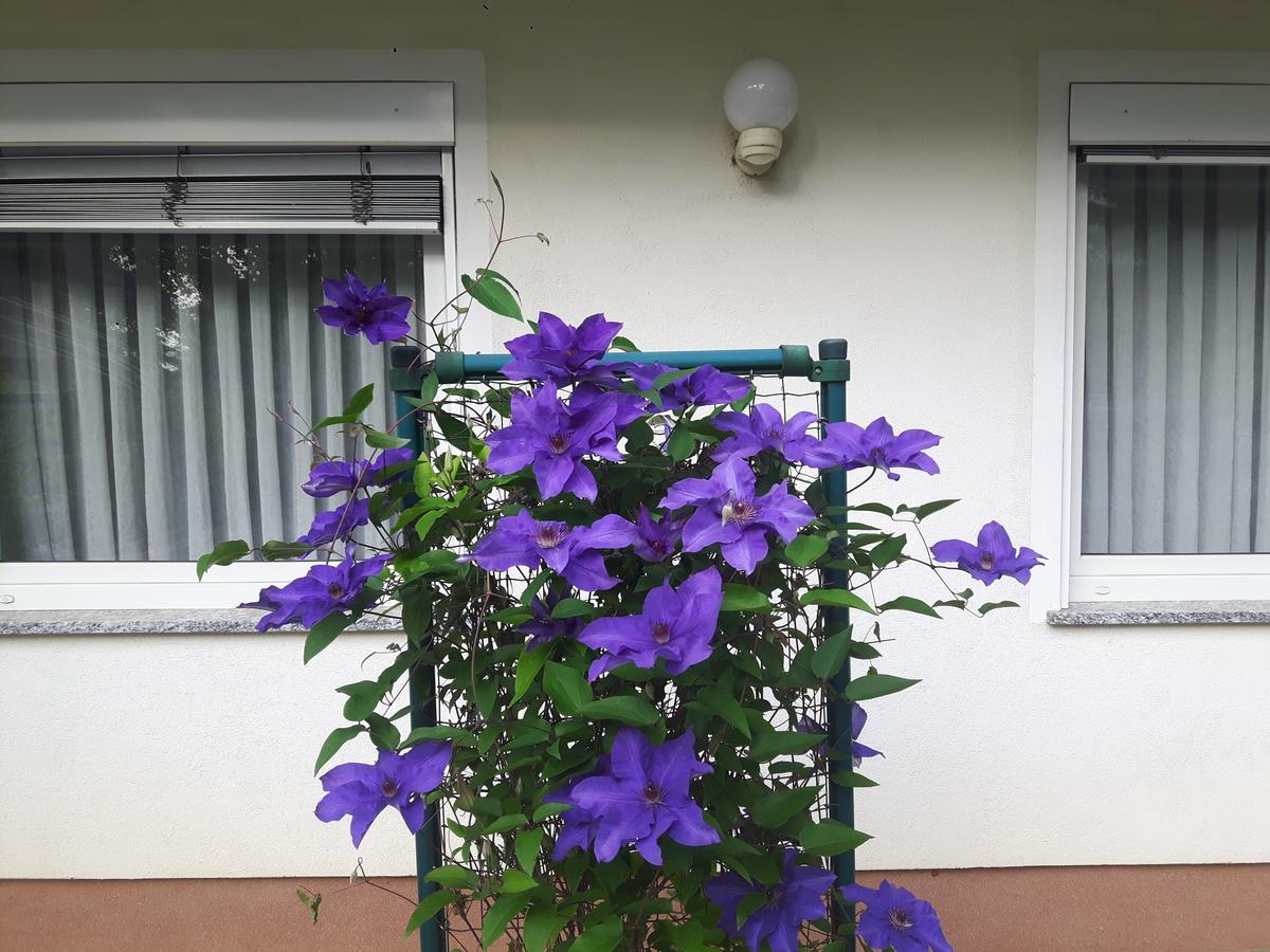 Apartment Sobe Ravbar Novo Mesto Exterior foto
